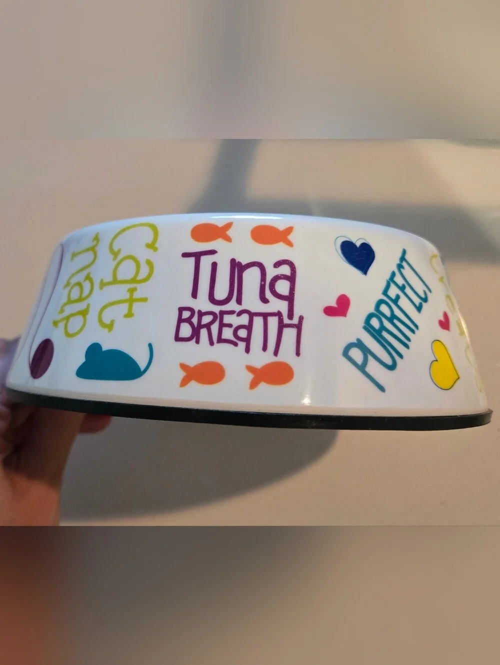 White Cat Food/Water Bowl with Colorful Text